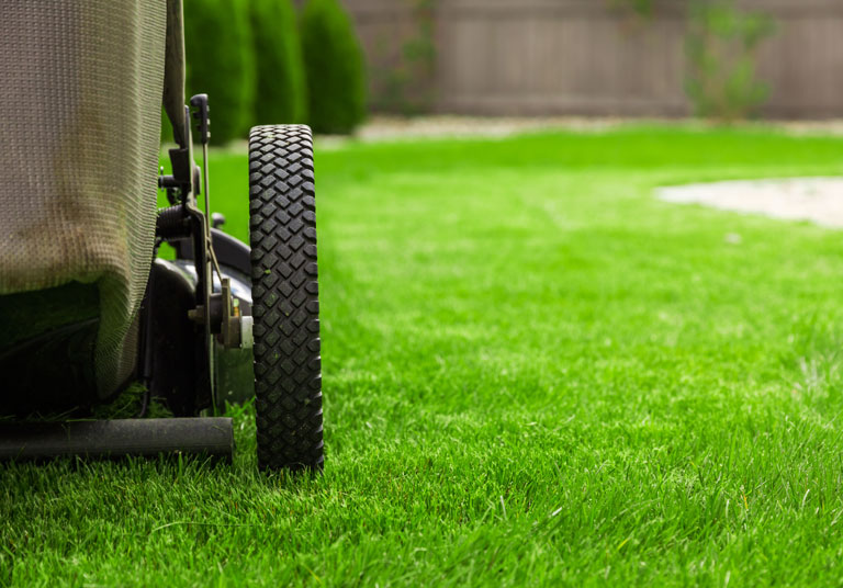 Weekly Lawn Care